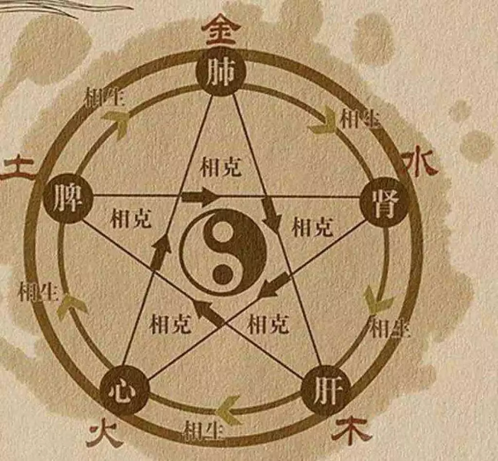Traditional Chinese Medicine Series - YJF Health