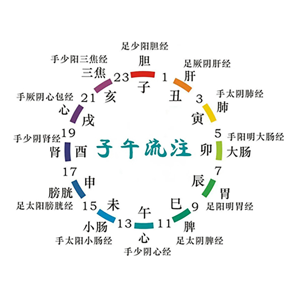 五大养生课介绍.docx-2